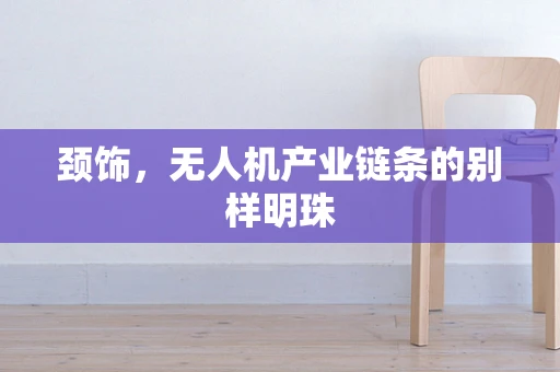 颈饰，无人机产业链条的别样明珠