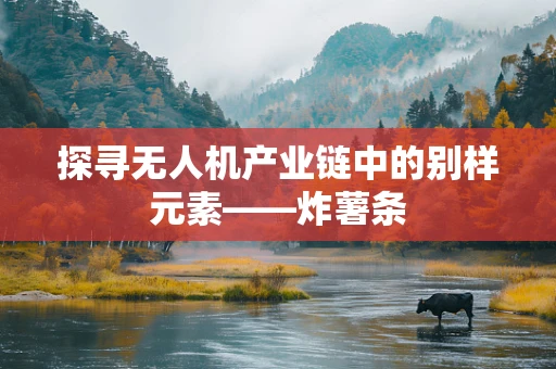 探寻无人机产业链中的别样元素——炸薯条