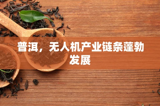 普洱，无人机产业链条蓬勃发展
