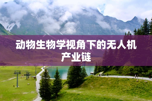 动物生物学视角下的无人机产业链