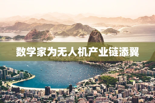 数学家为无人机产业链添翼