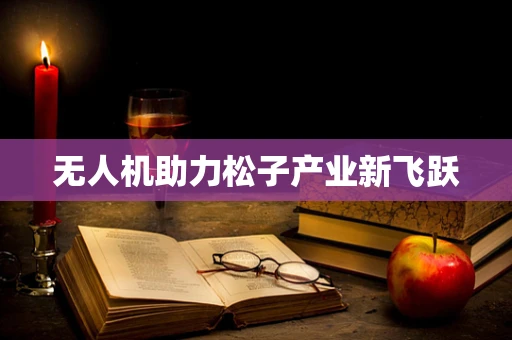 无人机助力松子产业新飞跃