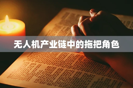 无人机产业链中的拖把角色