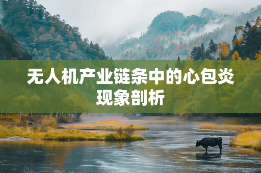 无人机产业链条中的心包炎现象剖析