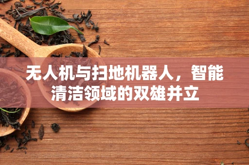 无人机与扫地机器人，智能清洁领域的双雄并立