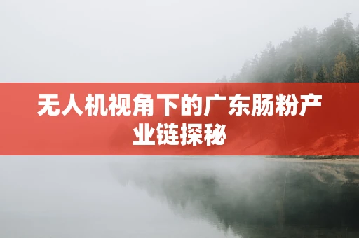 无人机视角下的广东肠粉产业链探秘