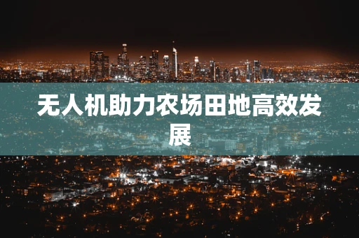 无人机助力农场田地高效发展