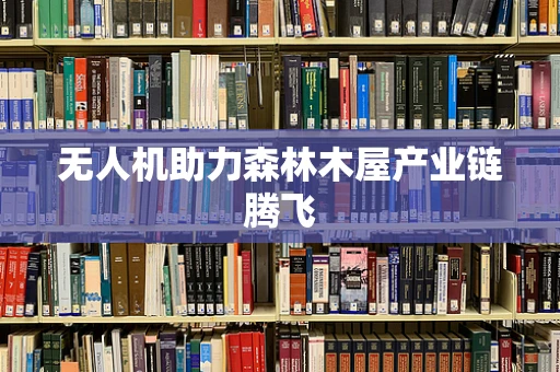 无人机助力森林木屋产业链腾飞