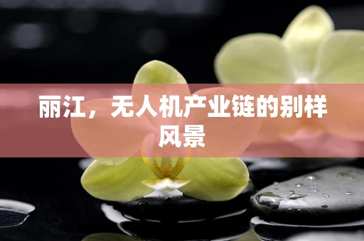 丽江，无人机产业链的别样风景