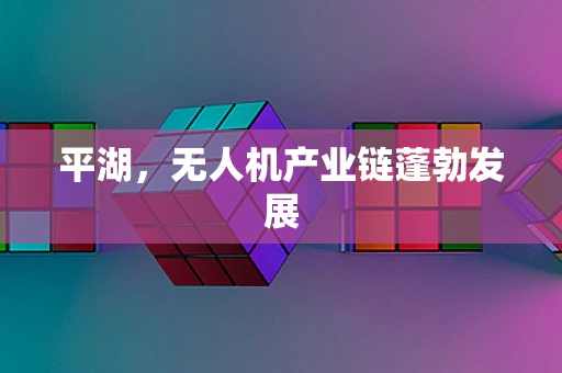 平湖，无人机产业链蓬勃发展