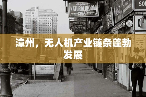 漳州，无人机产业链条蓬勃发展