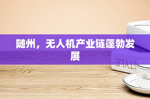 随州，无人机产业链蓬勃发展