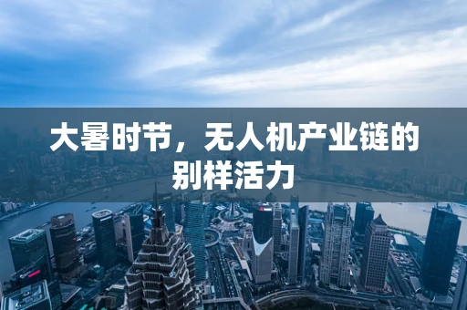 大暑时节，无人机产业链的别样活力