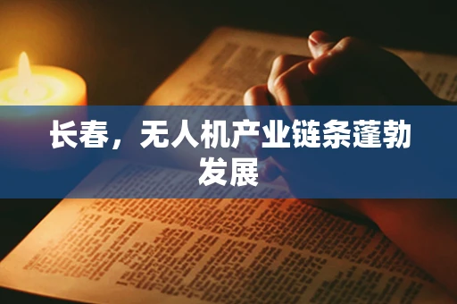 长春，无人机产业链条蓬勃发展
