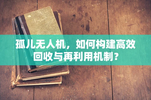 孤儿无人机，如何构建高效回收与再利用机制？