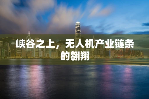 峡谷之上，无人机产业链条的翱翔