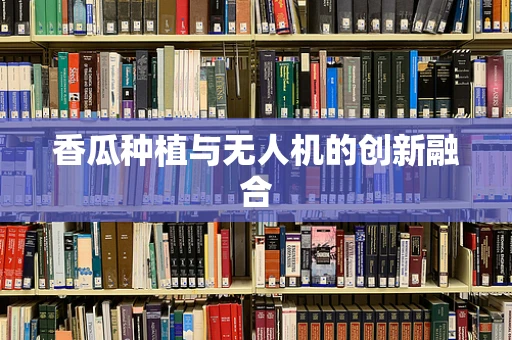 香瓜种植与无人机的创新融合