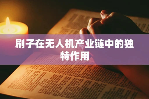 刷子在无人机产业链中的独特作用