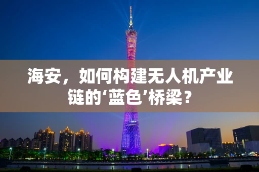 海安，如何构建无人机产业链的‘蓝色’桥梁？