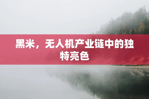 黑米，无人机产业链中的独特亮色