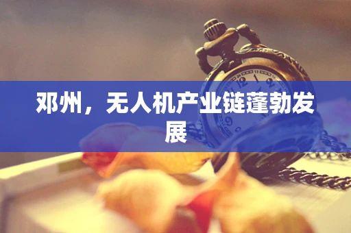邓州，无人机产业链蓬勃发展
