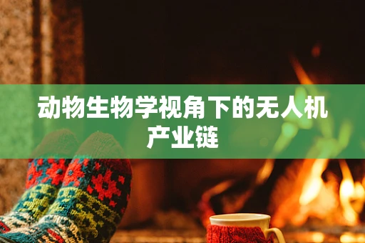 动物生物学视角下的无人机产业链