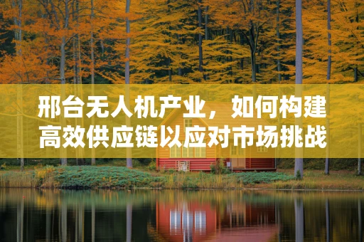 邢台无人机产业，如何构建高效供应链以应对市场挑战？