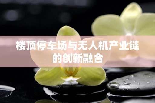 楼顶停车场与无人机产业链的创新融合