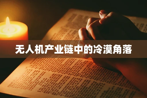 无人机产业链中的冷漠角落