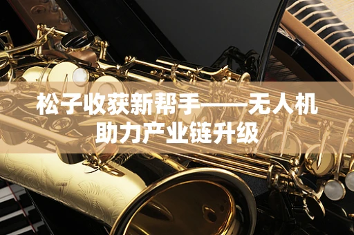 松子收获新帮手——无人机助力产业链升级