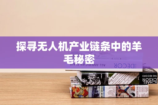 探寻无人机产业链条中的羊毛秘密