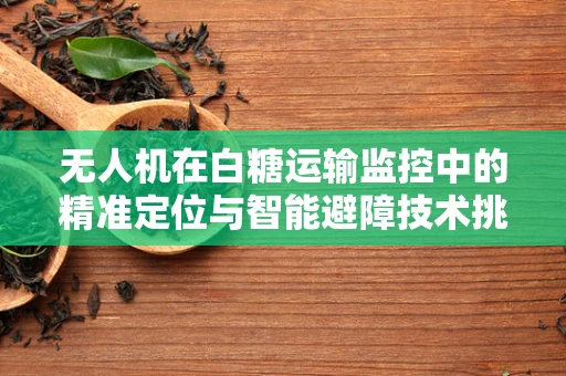无人机在白糖运输监控中的精准定位与智能避障技术挑战