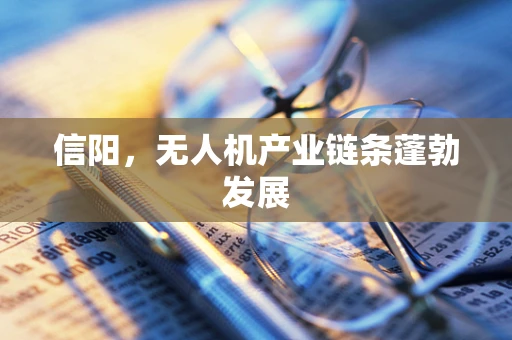 信阳，无人机产业链条蓬勃发展