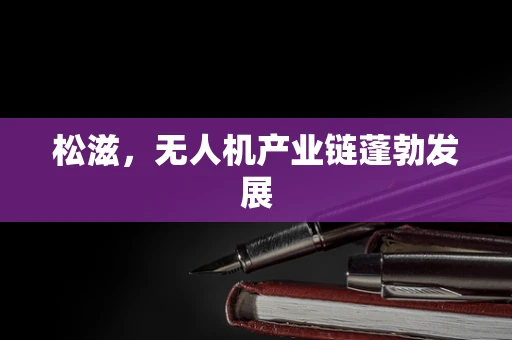 松滋，无人机产业链蓬勃发展