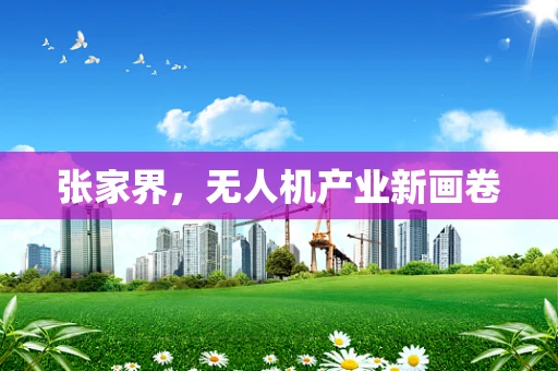 张家界，无人机产业新画卷