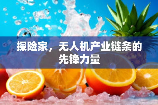 探险家，无人机产业链条的先锋力量