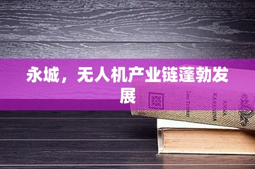 永城，无人机产业链蓬勃发展