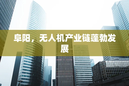 阜阳，无人机产业链蓬勃发展