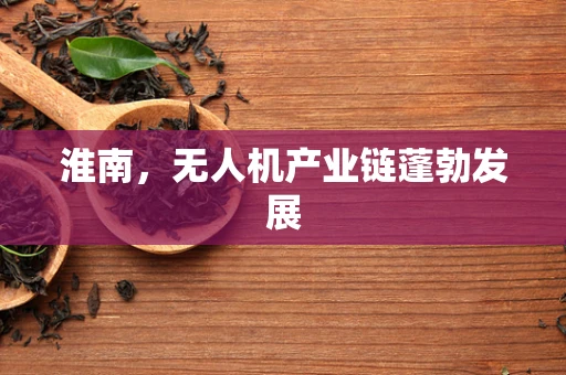 淮南，无人机产业链蓬勃发展