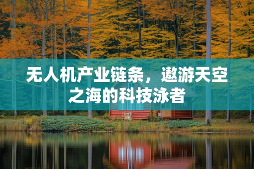 无人机产业链条，遨游天空之海的科技泳者