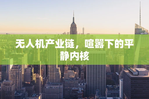 无人机产业链，喧嚣下的平静内核