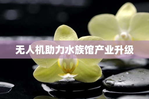无人机助力水族馆产业升级