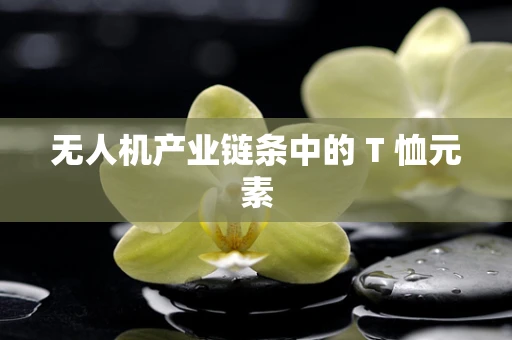 无人机产业链条中的 T 恤元素