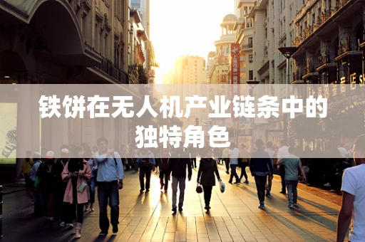 铁饼在无人机产业链条中的独特角色