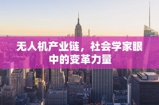 无人机产业链，社会学家眼中的变革力量