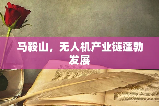 马鞍山，无人机产业链蓬勃发展