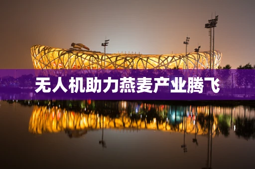 无人机助力燕麦产业腾飞