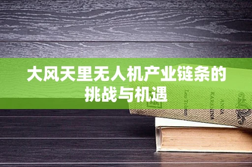 大风天里无人机产业链条的挑战与机遇