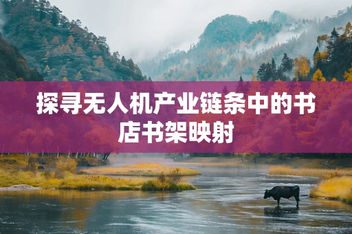 探寻无人机产业链条中的书店书架映射