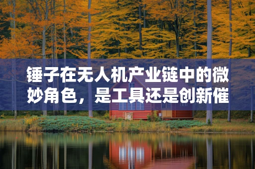 锤子在无人机产业链中的微妙角色，是工具还是创新催化剂？
